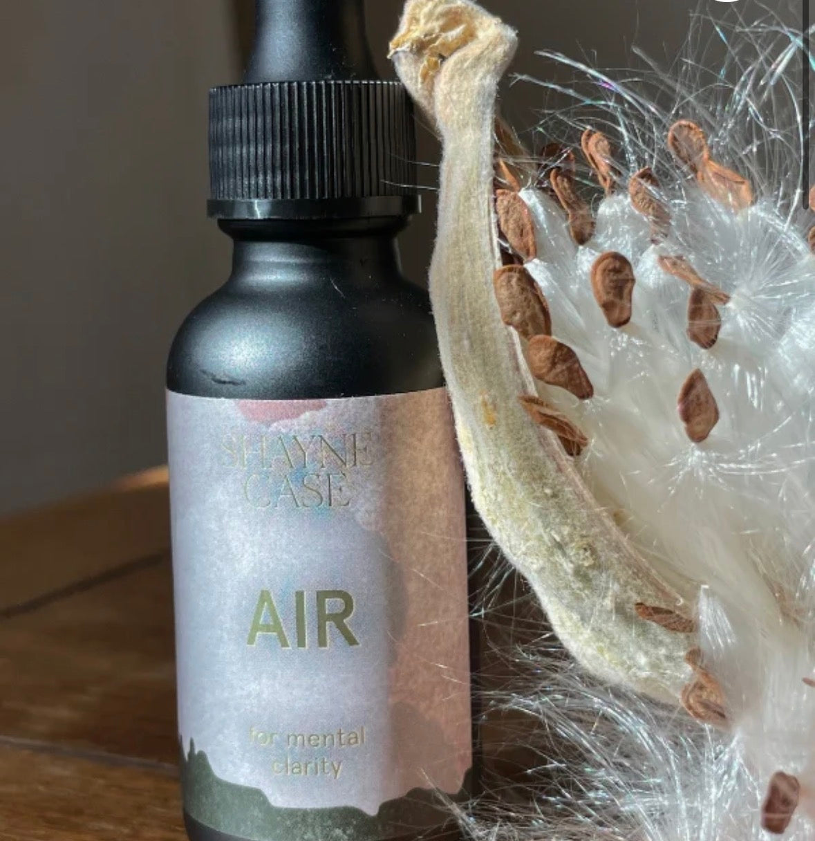 Black bottle labeled 'AIR' by Shayne Case with a dried plant next to it on a wooden surface.