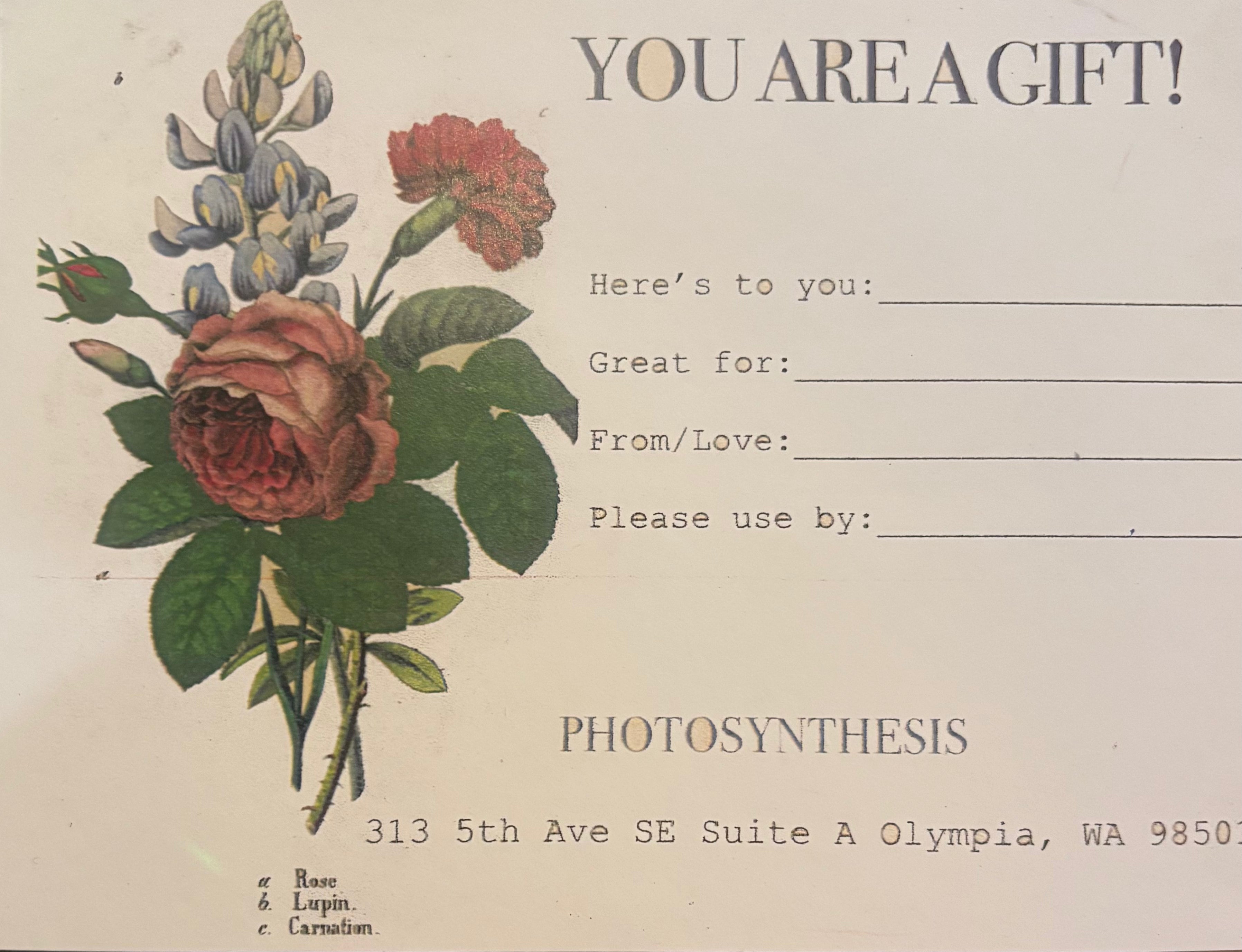 Photosynthesis Gift Card