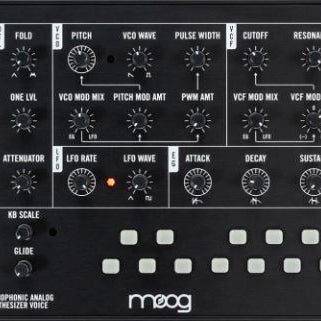 MOOG MAVIS