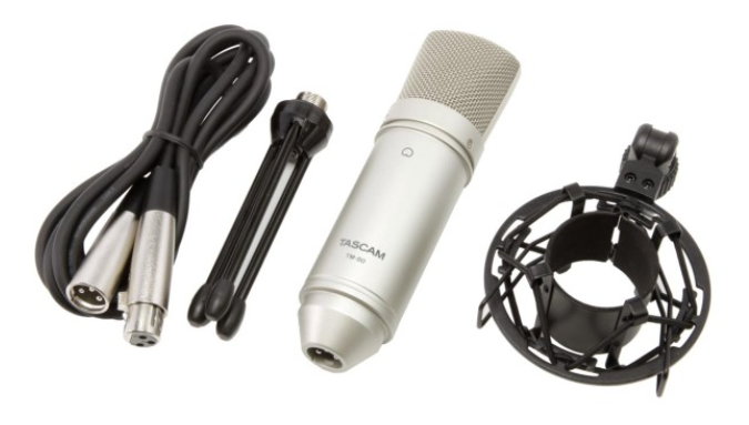 Tascam TM-80 Large Diaphragm Microphone with cable, shock mount and stand